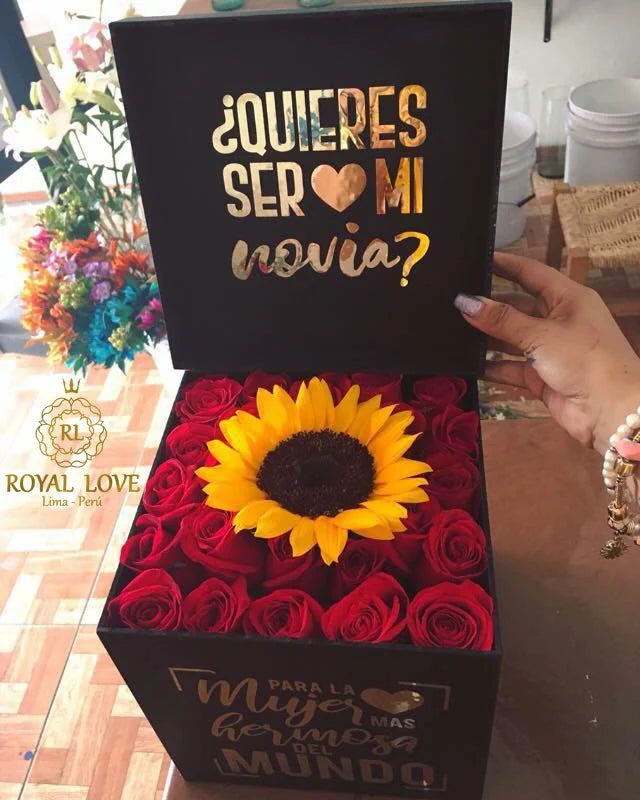 BOX RAPUNZEL GRANDE