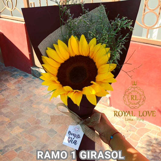RAMO 1 GIRASOL